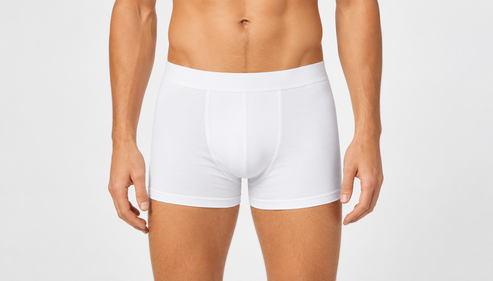 boxer