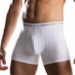 2 boxer Cotonella 2384