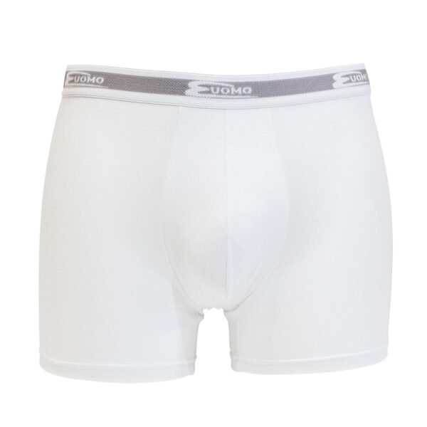 2 boxer Cotonella 2384