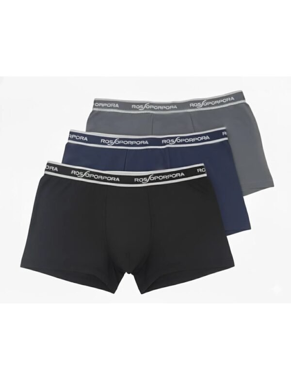 3 boxer Rossoporpora GIGI