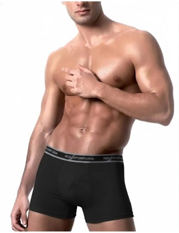 3 boxer Rossoporpora GIGI