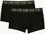 2 boxer Cavalli Class