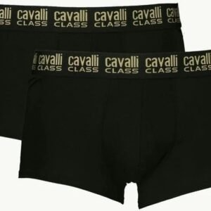 2 boxer Cavalli Class