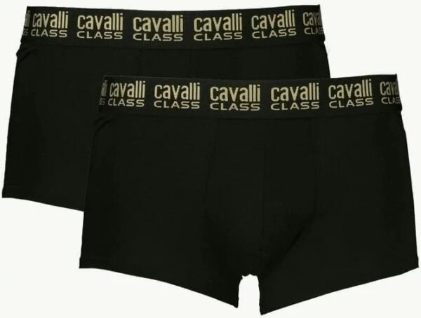 2 boxer Cavalli Class