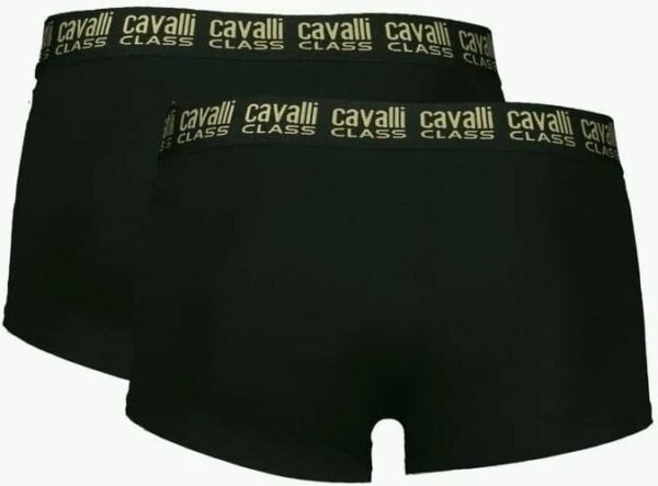 2 boxer Cavalli Class