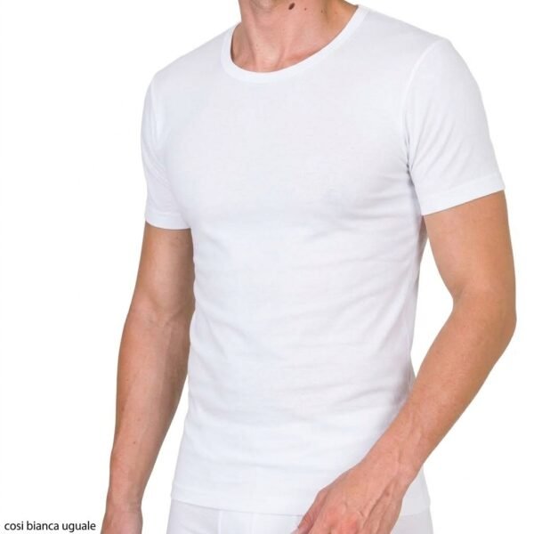 Maglia mezza manica Speedy 401-501